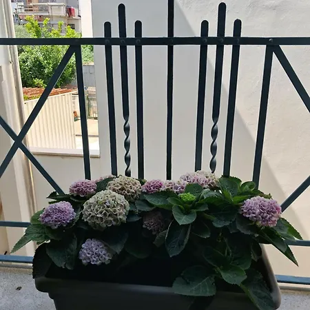 Per Me Si Va Apartment Telese Terme Exterior photo
